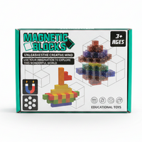 Magnetiska byggklossar